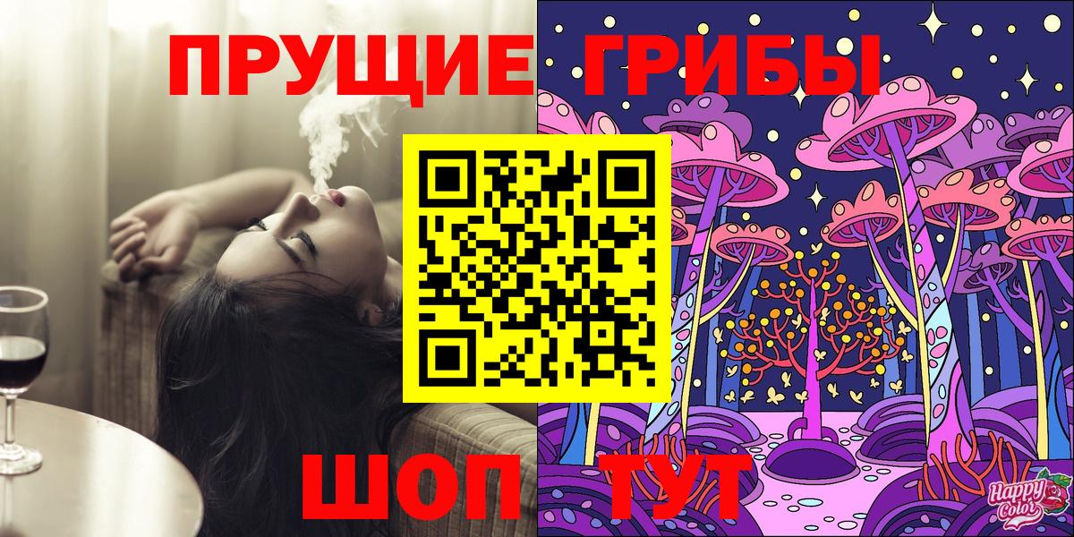 Псилоцибиновые грибы Psilocybine cubensis Апшеронск